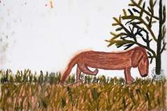 Trädet / The tree